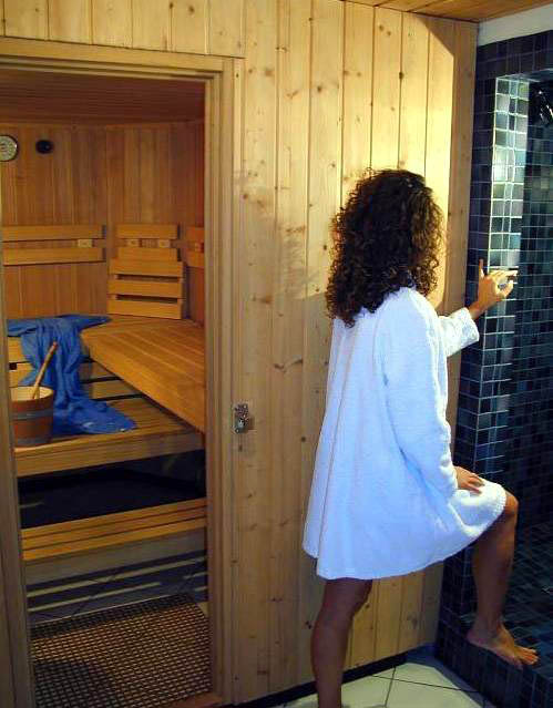 sauna.jpg (43991 bytes)